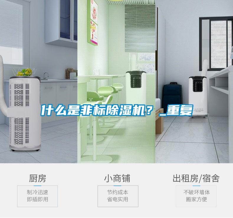 什么是非標(biāo)除濕機<div   id=