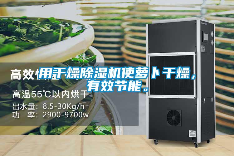 用干燥除濕機使蘿卜干燥，有效節(jié)能<div   id=