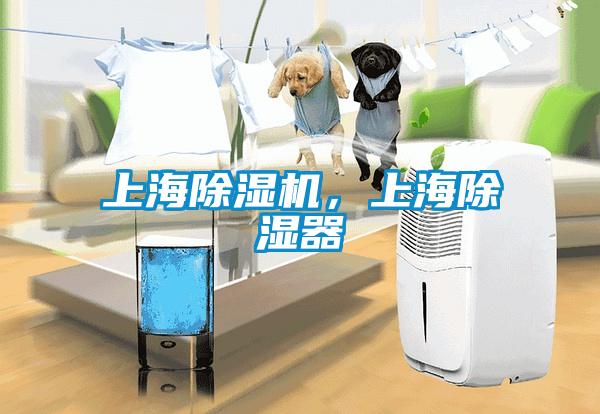 上海除濕機(jī)<div   id=
