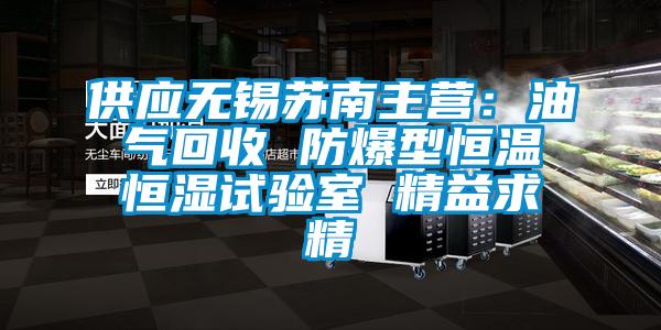 供應(yīng)無錫蘇南主營:油氣回收 防爆型恒溫恒濕試驗室 精益求精