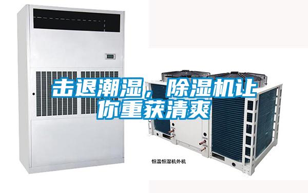 擊退潮濕<div   id=