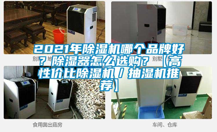 2021年除濕機(jī)哪個(gè)品牌好<div   id=