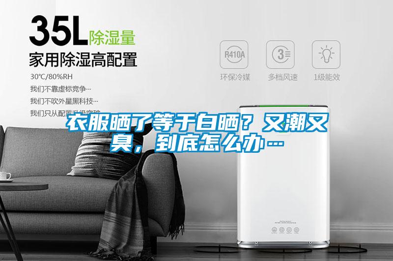 衣服曬了等于白曬？又潮又臭<div   id=