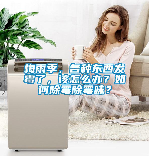 梅雨季，各種東西發(fā)霉了<div   id=