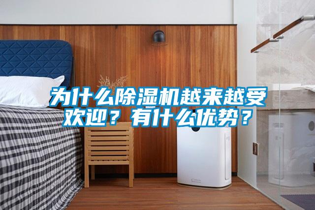 為什么除濕機(jī)越來(lái)越受歡迎？有什么優(yōu)勢(shì)<div   id=