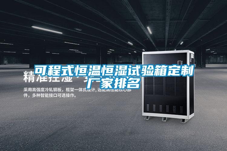 可程式恒溫恒濕試驗(yàn)箱定制廠(chǎng)家排名