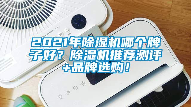 2021年除濕機(jī)哪個(gè)牌子好？除濕機(jī)推薦測評+品牌選購<div   id=