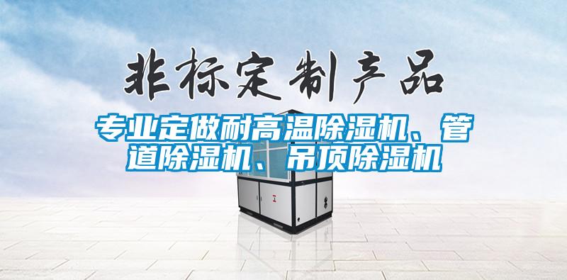 專業(yè)定做耐高溫除濕機(jī)<div   id=