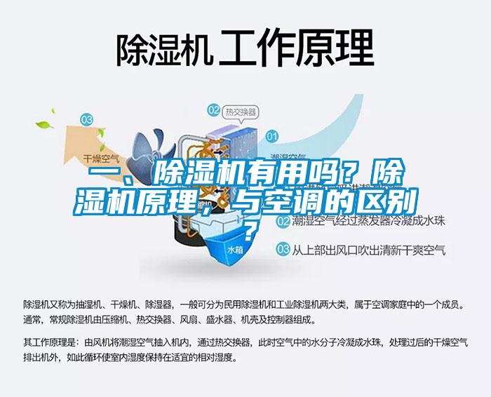 一、除濕機有用嗎<div   id=
