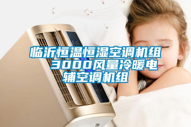 臨沂恒溫恒濕空調(diào)機(jī)組 3000風(fēng)量冷暖電輔空調(diào)機(jī)組