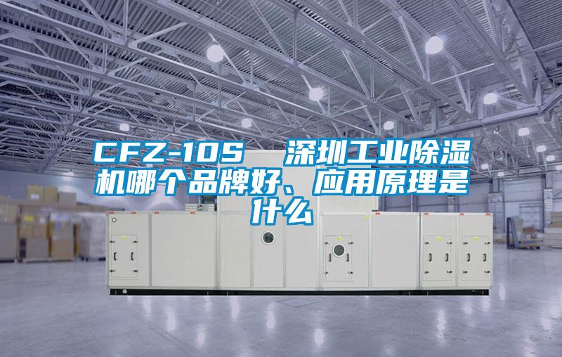 CFZ-10S  深圳工業(yè)除濕機(jī)哪個(gè)品牌好<div   id=