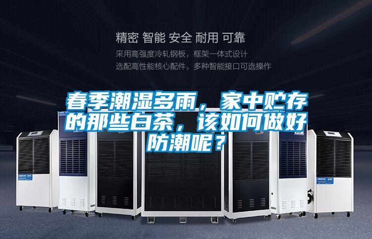 春季潮濕多雨，家中貯存的那些白茶<div   id=