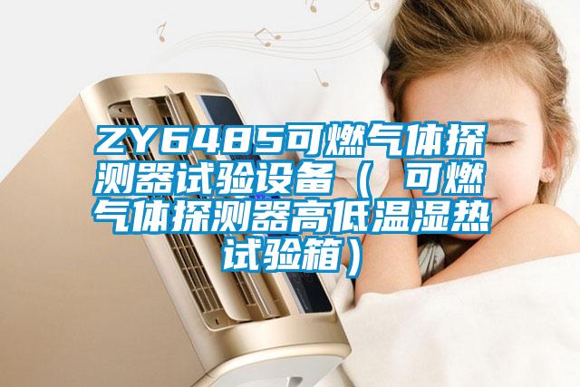 ZY6485可燃?xì)怏w探測器試驗(yàn)設(shè)備( 可燃?xì)怏w探測器高低溫濕熱試驗(yàn)箱)