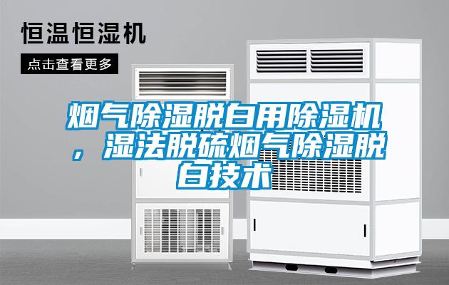 煙氣除濕脫白用除濕機(jī)<div   id=