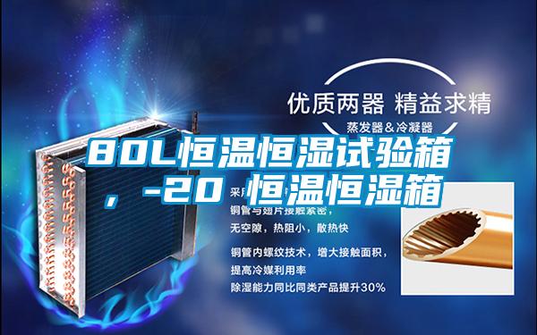 80L恒溫恒濕試驗(yàn)箱<div   id=