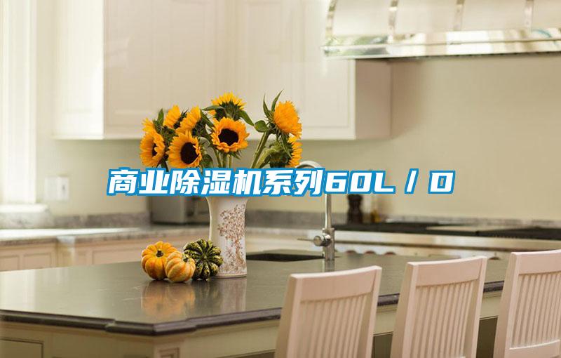 商業(yè)除濕機(jī)系列60L/D