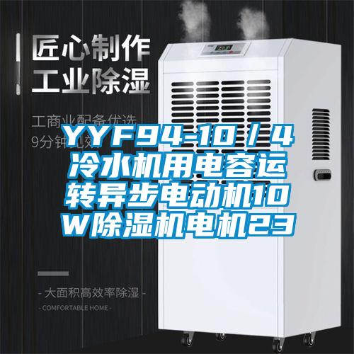 YYF94-10/4冷水機(jī)用電容運(yùn)轉(zhuǎn)異步電動機(jī)10W除濕機(jī)電機(jī)23