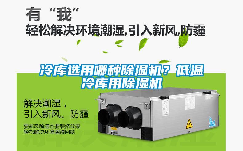 冷庫選用哪種除濕機(jī)<div   id=
