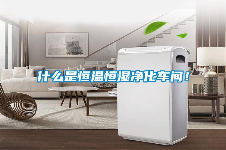 什么是恒溫恒濕凈化車間<div   id=