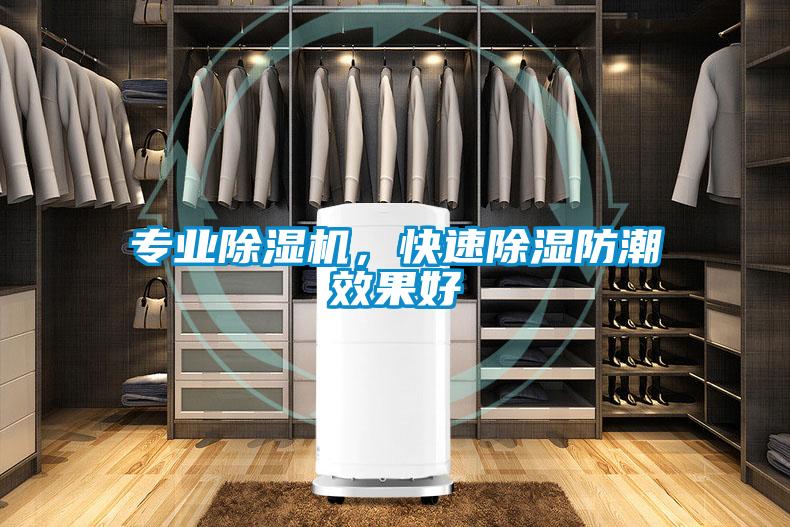 專業(yè)除濕機<div   id=