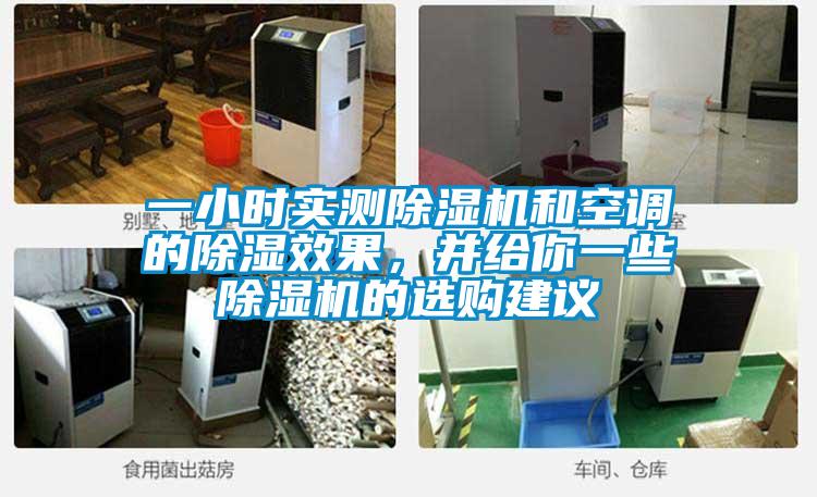 一小時(shí)實(shí)測除濕機(jī)和空調(diào)的除濕效果<div   id=