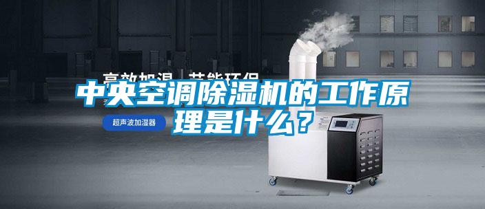 中央空調(diào)除濕機(jī)的工作原理是什么<div   id=