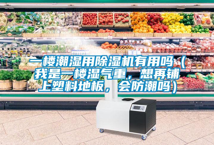 一樓潮濕用除濕機有用嗎（我是一樓濕氣重<div   id=