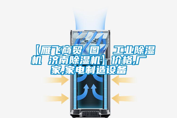【雁飛商貿(mào) 圖 工業(yè)除濕機(jī) 濟(jì)南除濕機(jī)】價(jià)格,廠家,家電制造設(shè)備