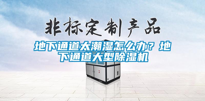 地下通道太潮濕怎么辦<div   id=