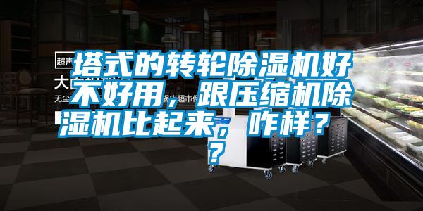 塔式的轉(zhuǎn)輪除濕機(jī)好不好用<div   id=