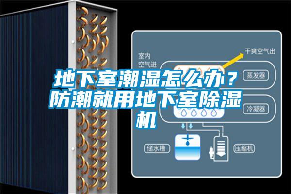 地下室潮濕怎么辦<div   id=