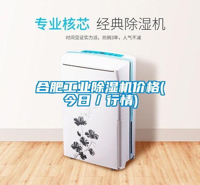 合肥工業(yè)除濕機(jī)價(jià)格(今日/行情)