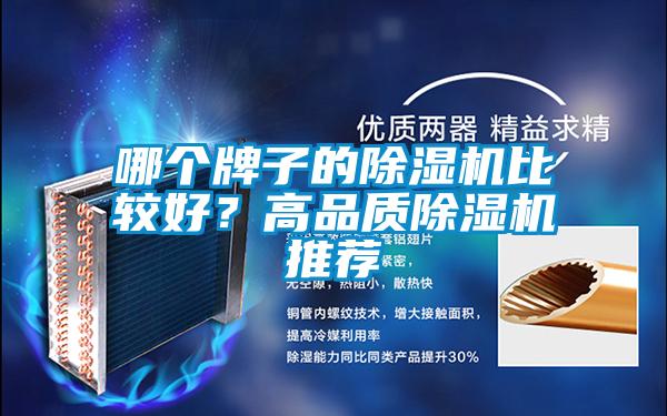 哪個(gè)牌子的除濕機(jī)比較好<div   id=