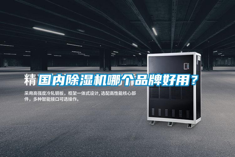 國內(nèi)除濕機(jī)哪個品牌好用<div   id=