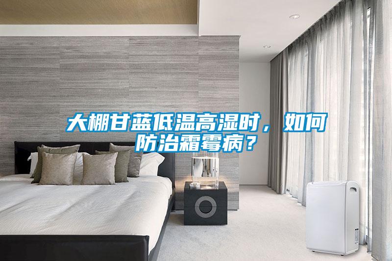 大棚甘藍(lán)低溫高濕時<div   id=