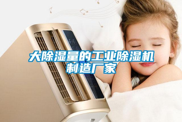 大除濕量的工業(yè)除濕機(jī)制造廠(chǎng)家