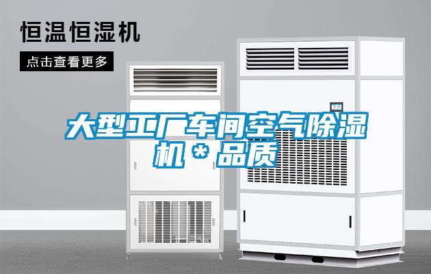 大型工廠車間空氣除濕機*品質(zhì)