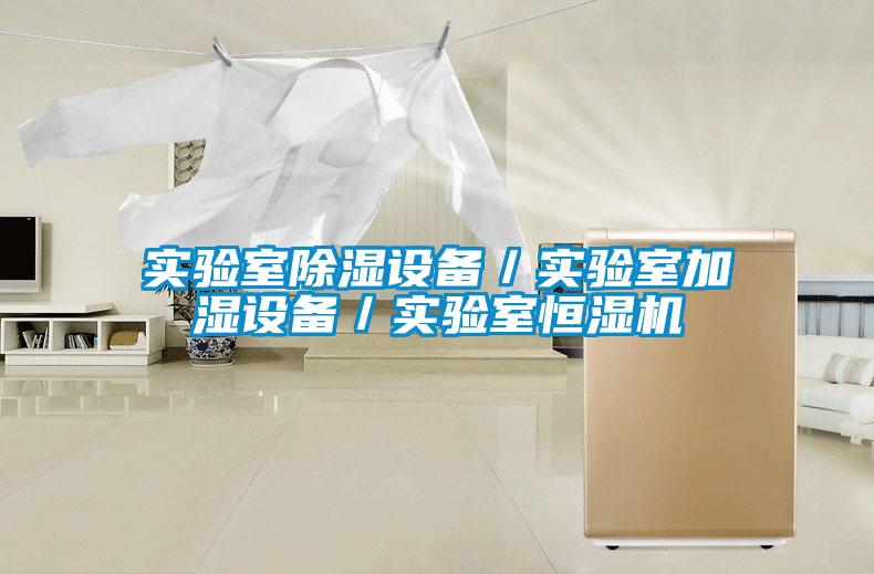 實驗室除濕設備/實驗室加濕設備/實驗室恒濕機