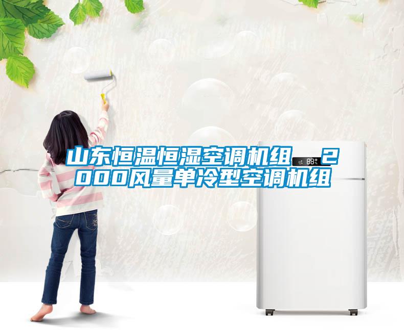 山東恒溫恒濕空調(diào)機(jī)組 2000風(fēng)量單冷型空調(diào)機(jī)組