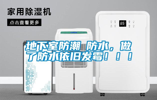 地下室防潮≠防水，做了防水依舊發(fā)霉?div   id=
