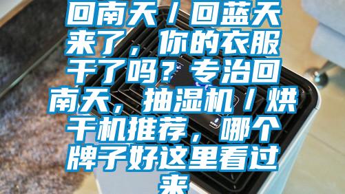 回南天／回藍(lán)天來了<div   id=