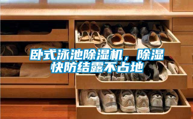 臥式泳池除濕機(jī)<div   id=