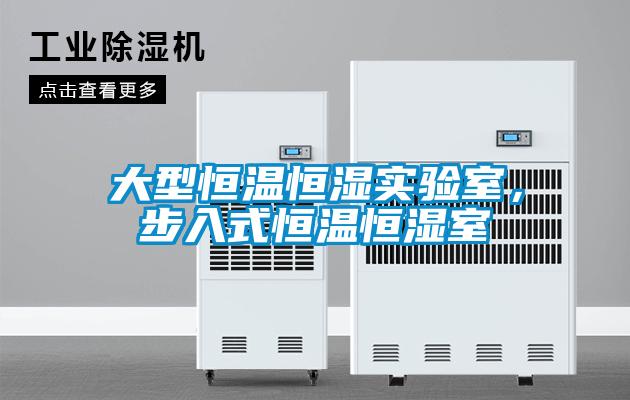 大型恒溫恒濕實驗室<div   id=