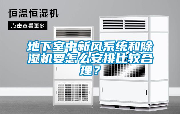 地下室中新風(fēng)系統(tǒng)和除濕機(jī)要怎么安排比較合理<div   id=
