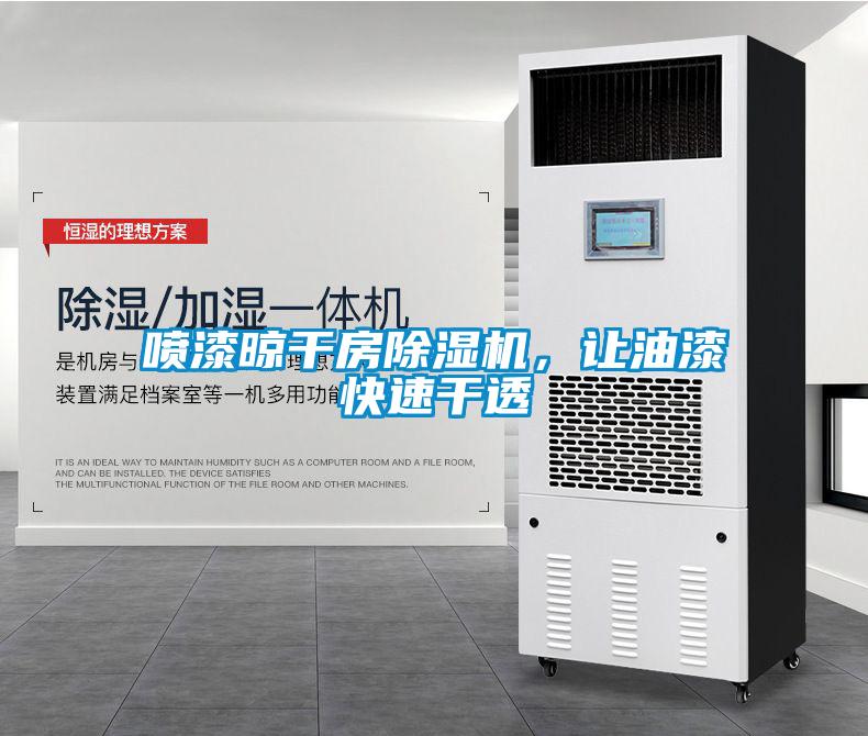 噴漆晾干房除濕機(jī)<div   id=