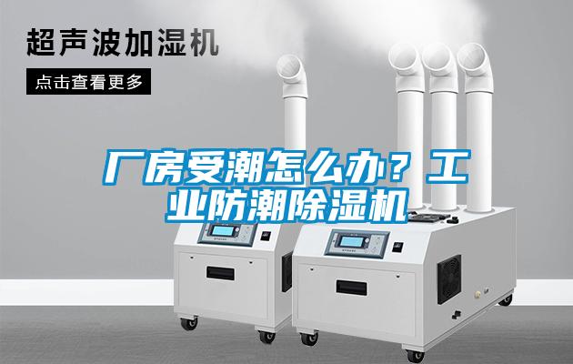 廠房受潮怎么辦<div   id=