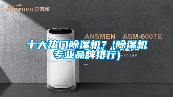 十大熱門除濕機?(除濕機專業(yè)品牌排行)