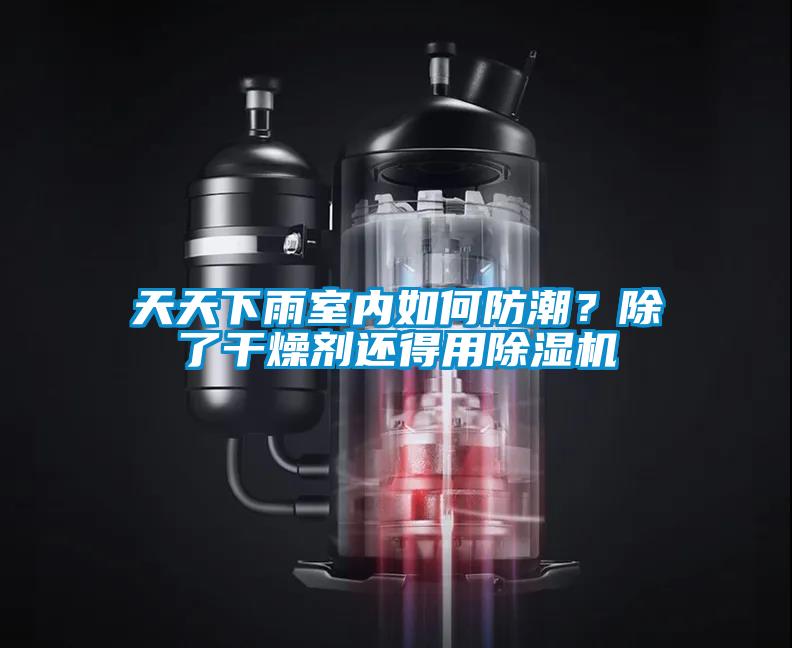 天天下雨室內(nèi)如何防潮<div   id=
