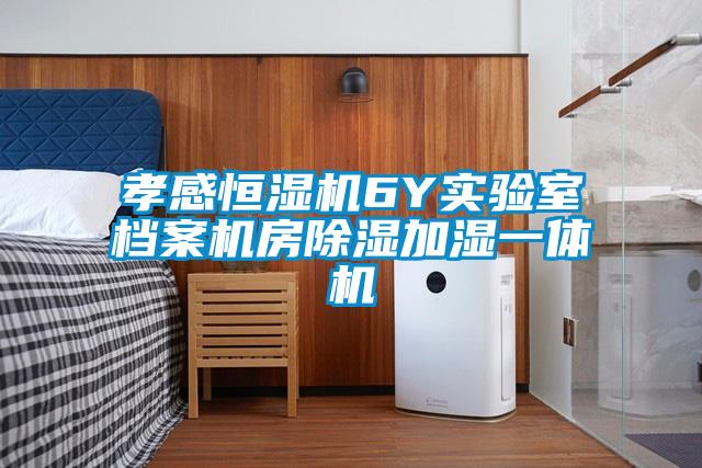 孝感恒濕機(jī)6Y實(shí)驗室檔案機(jī)房除濕加濕一體機(jī)