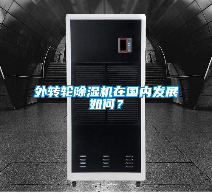 外轉(zhuǎn)輪除濕機(jī)在國(guó)內(nèi)發(fā)展如何<div   id=
